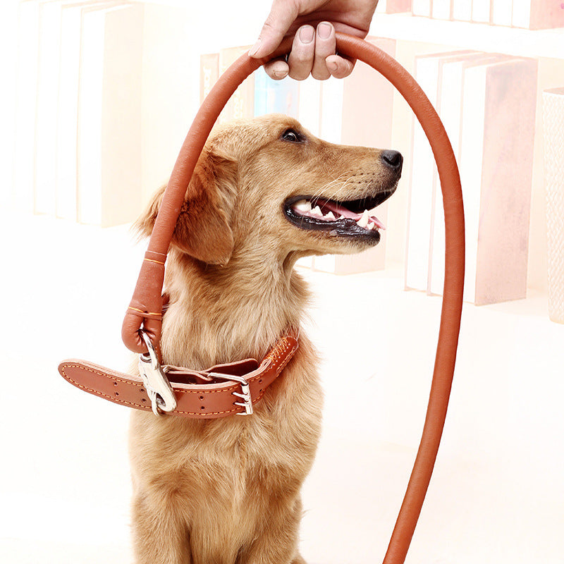 KFX-0928061 Dog Walking Leash Set with Adjustable Collar - Durable PU Material, Multiple Sizes Available