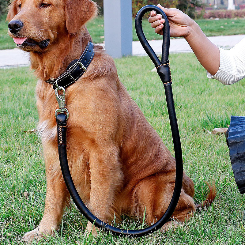 KFX-0928061 Dog Walking Leash Set with Adjustable Collar - Durable PU Material, Multiple Sizes Available