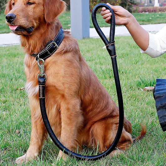 KFX-0928061 Dog Walking Leash Set with Adjustable Collar - Durable PU Material, Multiple Sizes Available