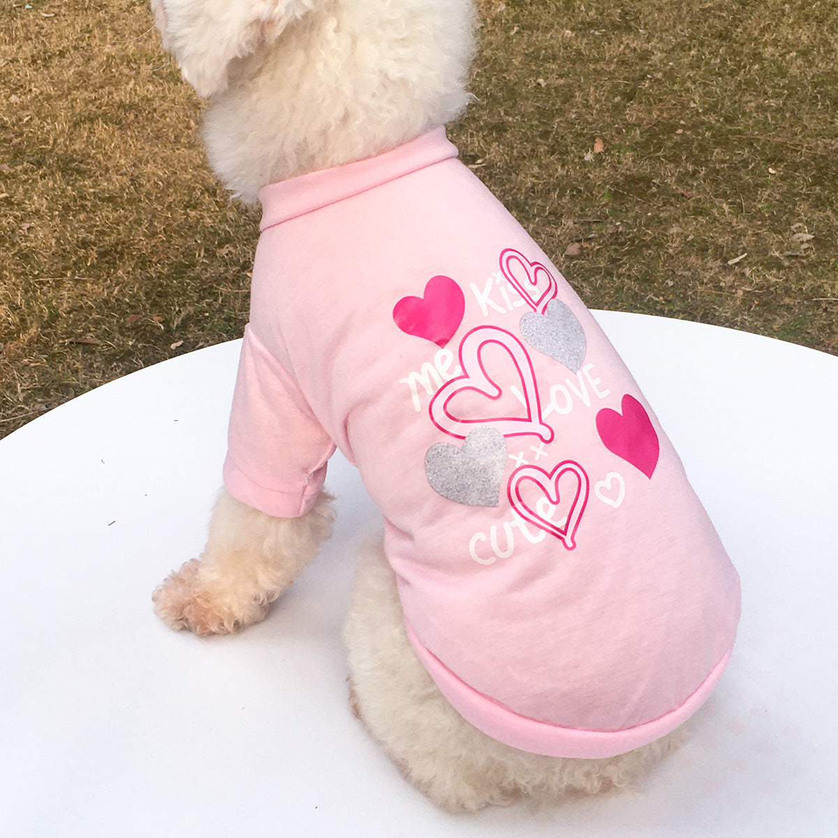 KFX-0932413 KISS Colorful Round Neck Pet T-Shirt with Raglan Sleeves - Cotton Blend, Short Sleeve