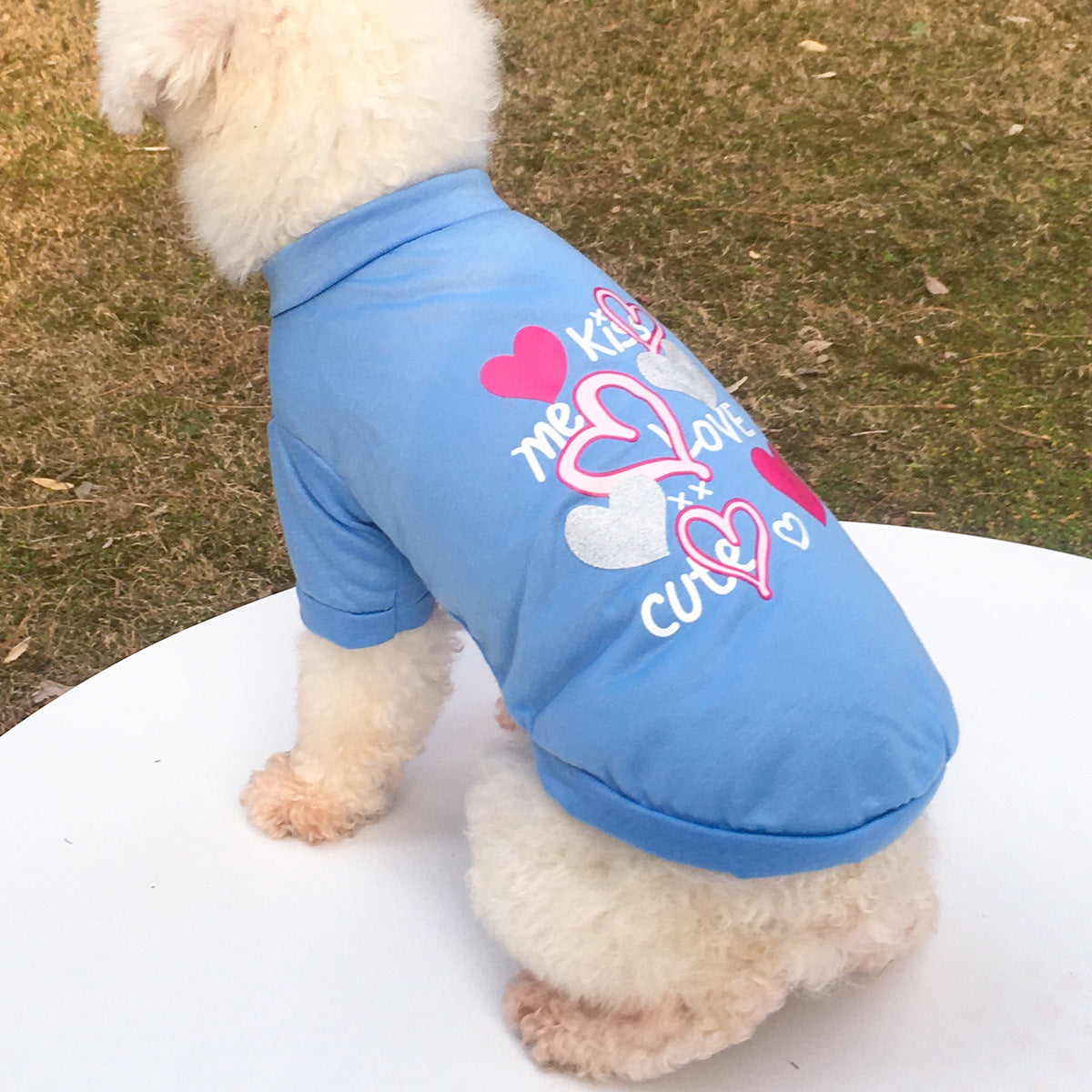 KFX-0932413 KISS Colorful Round Neck Pet T-Shirt with Raglan Sleeves - Cotton Blend, Short Sleeve