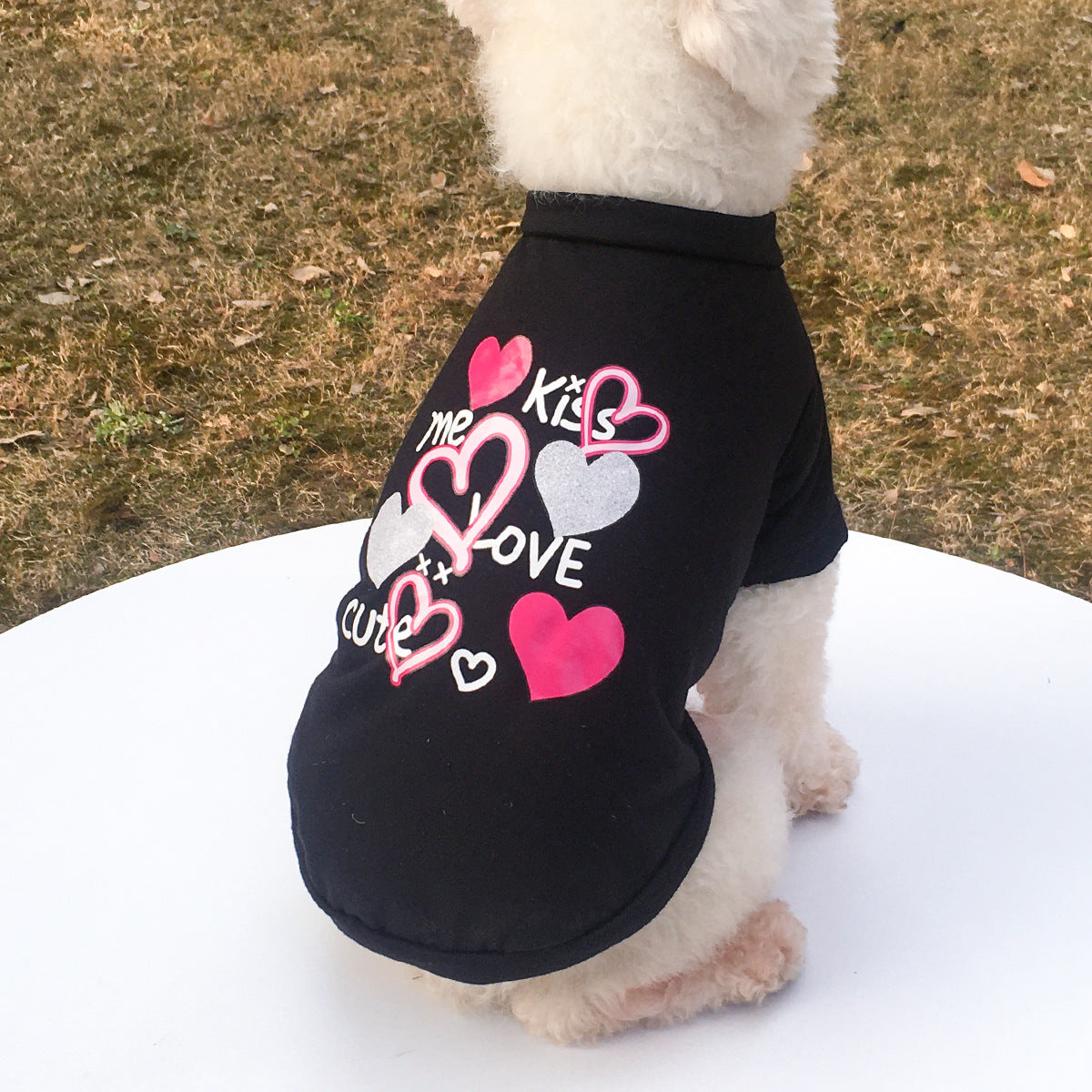 KFX-0932413 KISS Colorful Round Neck Pet T-Shirt with Raglan Sleeves - Cotton Blend, Short Sleeve