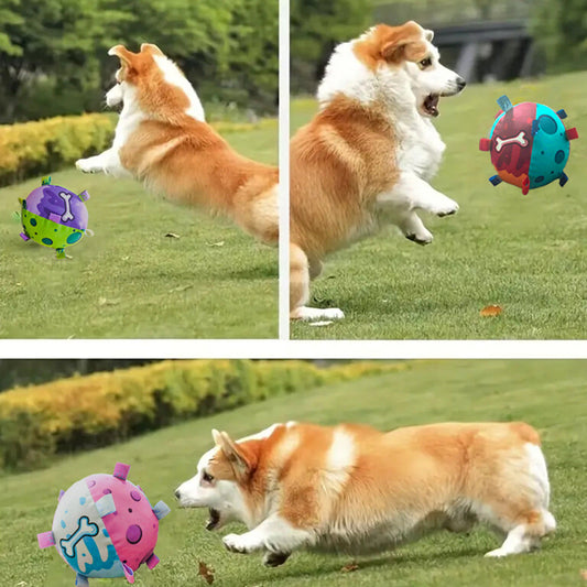 KFX-0941245 Interactive Soccer Ball Dog Toy with Straps for Tug of War and Water Play, Durable Design for Medium Dogs