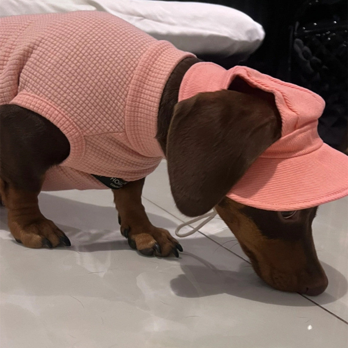 KFX-0945341 Casual Cotton Waffle Vest for Pets in Multiple Sizes