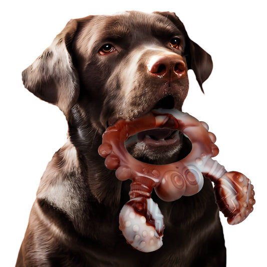 KFX-0953917 Durable Nylon Dog Chewing Toy in Various Beef Flavors