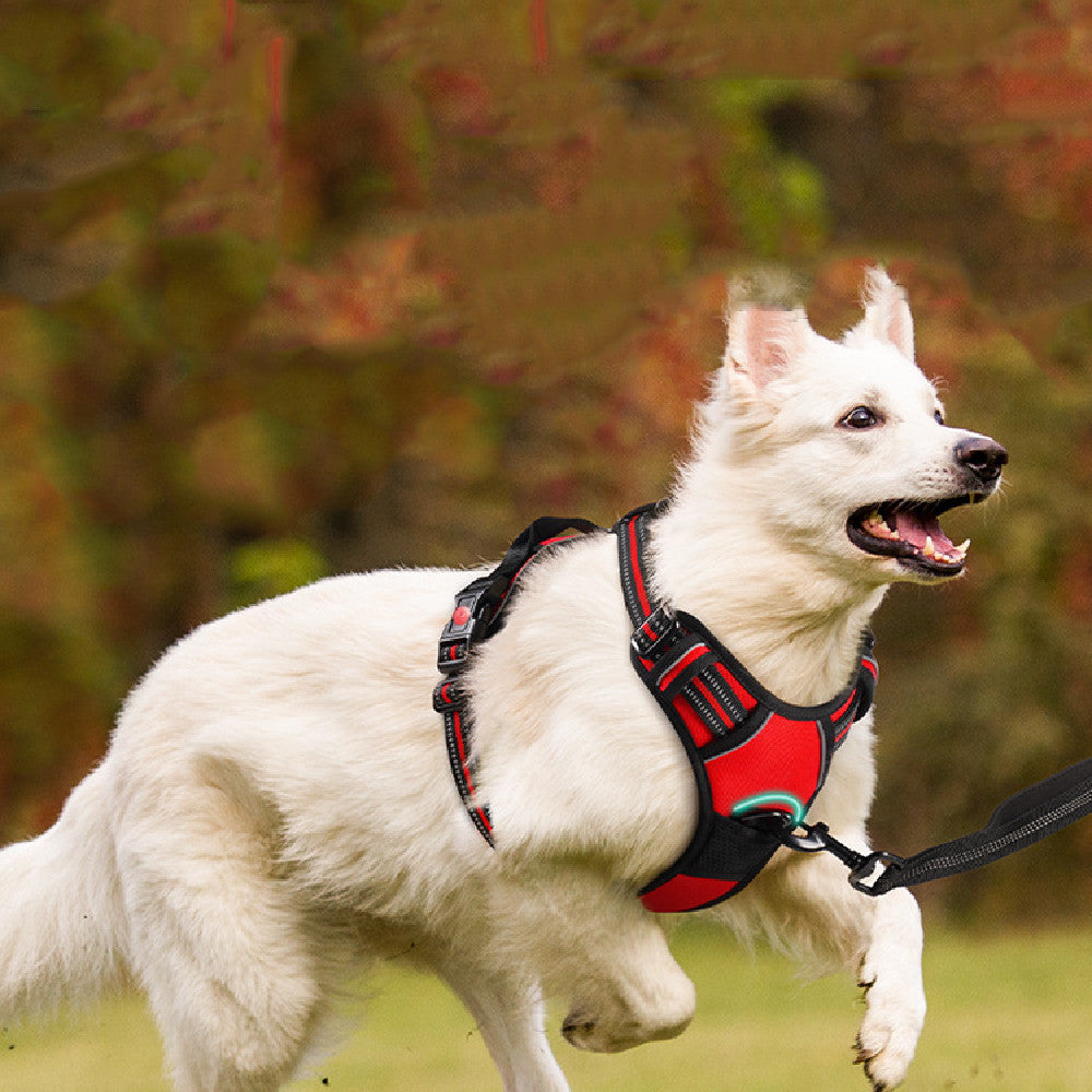 KFX-0966077 Adjustable Pet Traction Rope Chest Strap in Black, Red, Green – Available in M, L, XL, XXL