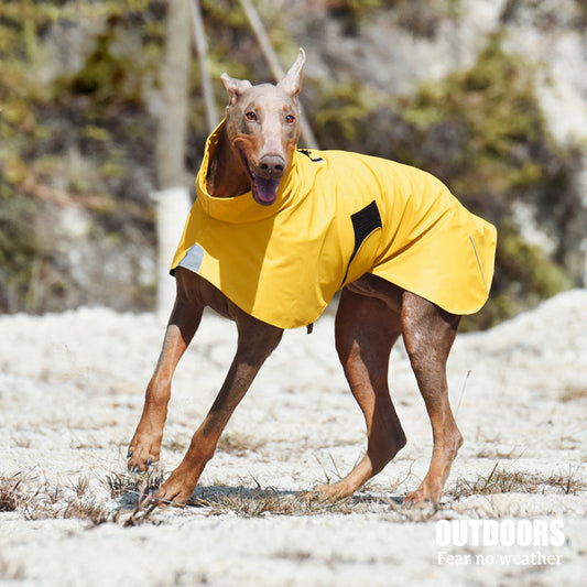 KFX-0985661 Waterproof Windproof Raincoat for Dogs - Sports Style Pet Shell Jacket in Yellow and Orange