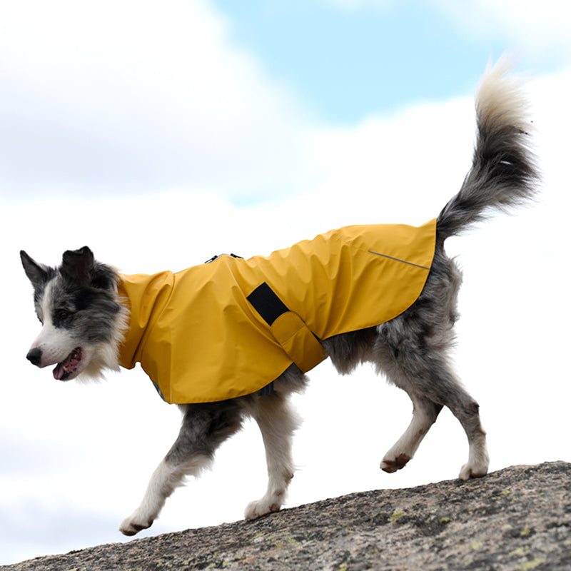KFX-0985661 Waterproof Windproof Raincoat for Dogs - Sports Style Pet Shell Jacket in Yellow and Orange