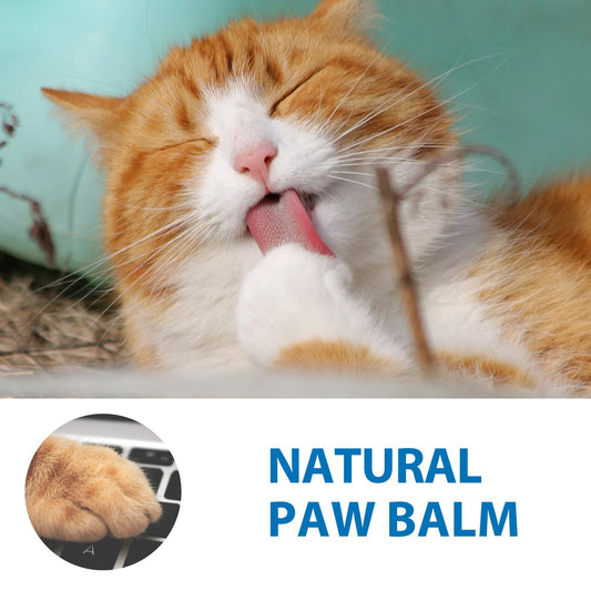 KFX-0985917 Nourishing Moisturizing Stick for Claws with Coconut Oil and Shea Butter, 15g