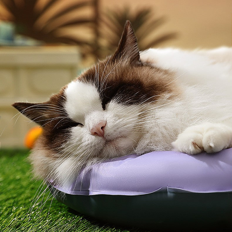 KFX-0988093 Durable Waved Bear Shaped Pet Ice Mat Cushion, PVC & Gel, Sizes M & L