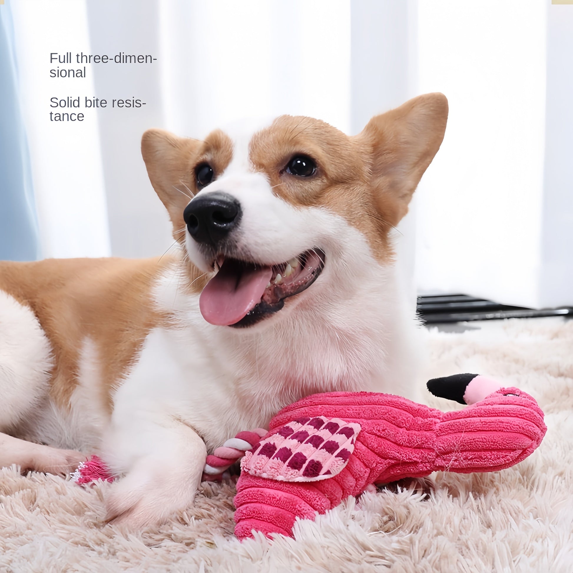 KFX-0991293 Plush Animal Shape Squeaky Dog Toy - Durable Corduroy for Small and Large Dogs