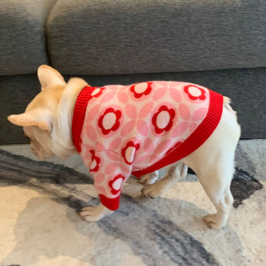 KFX-0997565 Jacquard Wool Dog Sweater for Autumn and Winter in Red