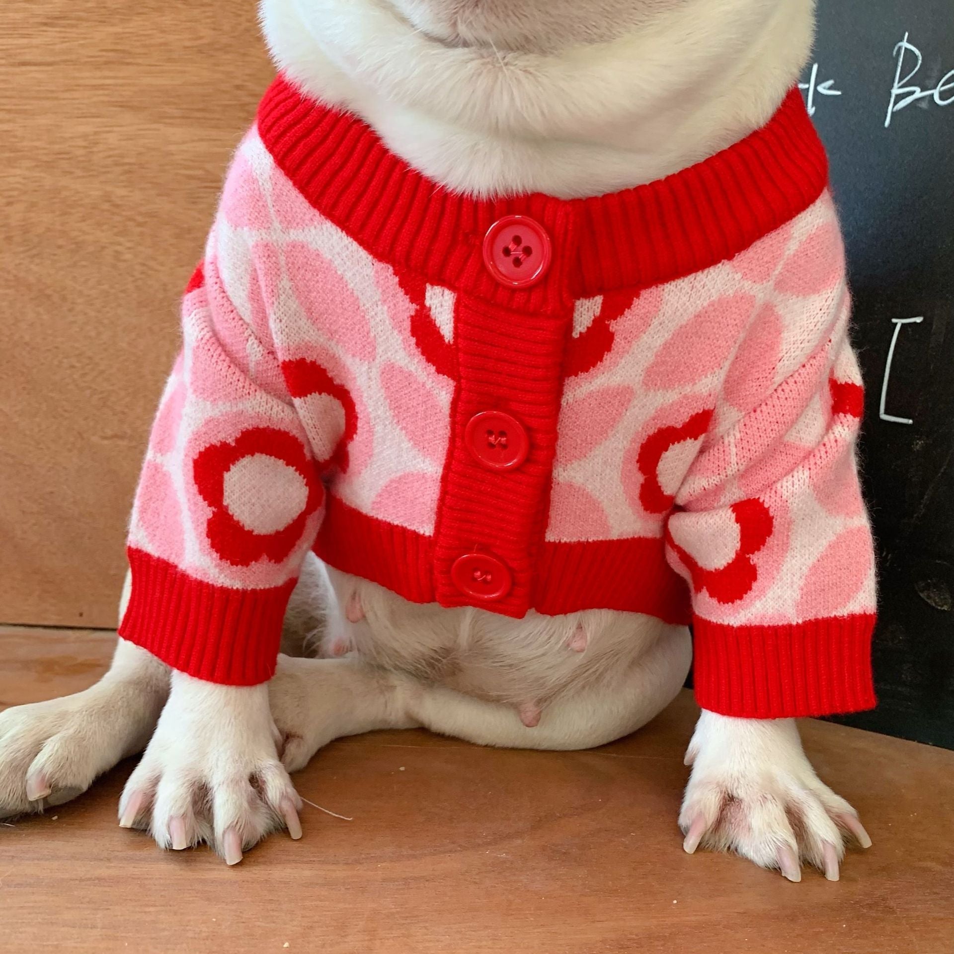 KFX-0997565 Jacquard Wool Dog Sweater for Autumn and Winter in Red