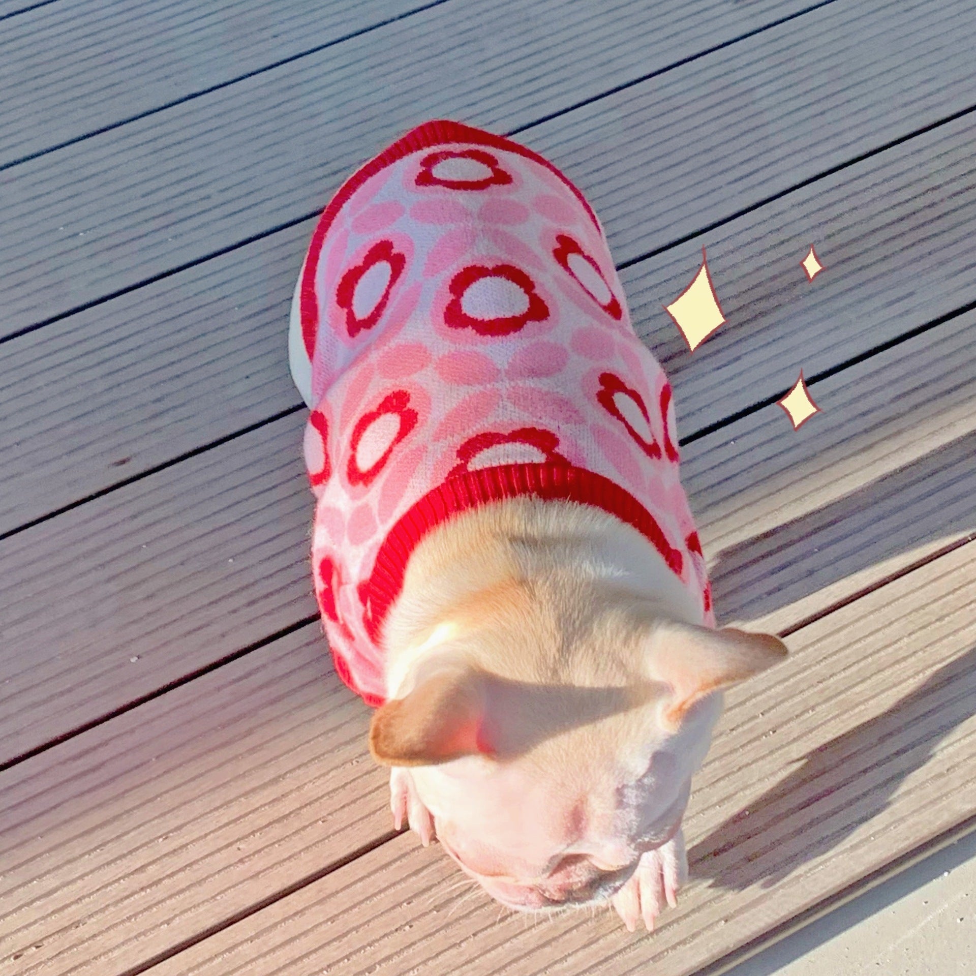 KFX-0997565 Jacquard Wool Dog Sweater for Autumn and Winter in Red