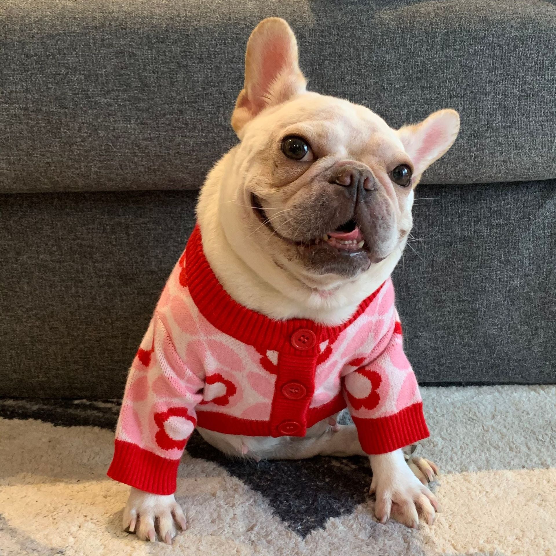 KFX-0997565 Jacquard Wool Dog Sweater for Autumn and Winter in Red