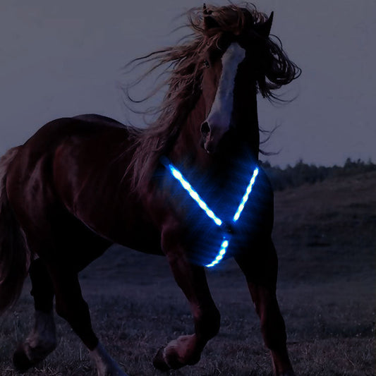 KFX-0998845 Luminous Chest Strap LED Cinch Harness for Horses - Polyester Material, Four Season Use