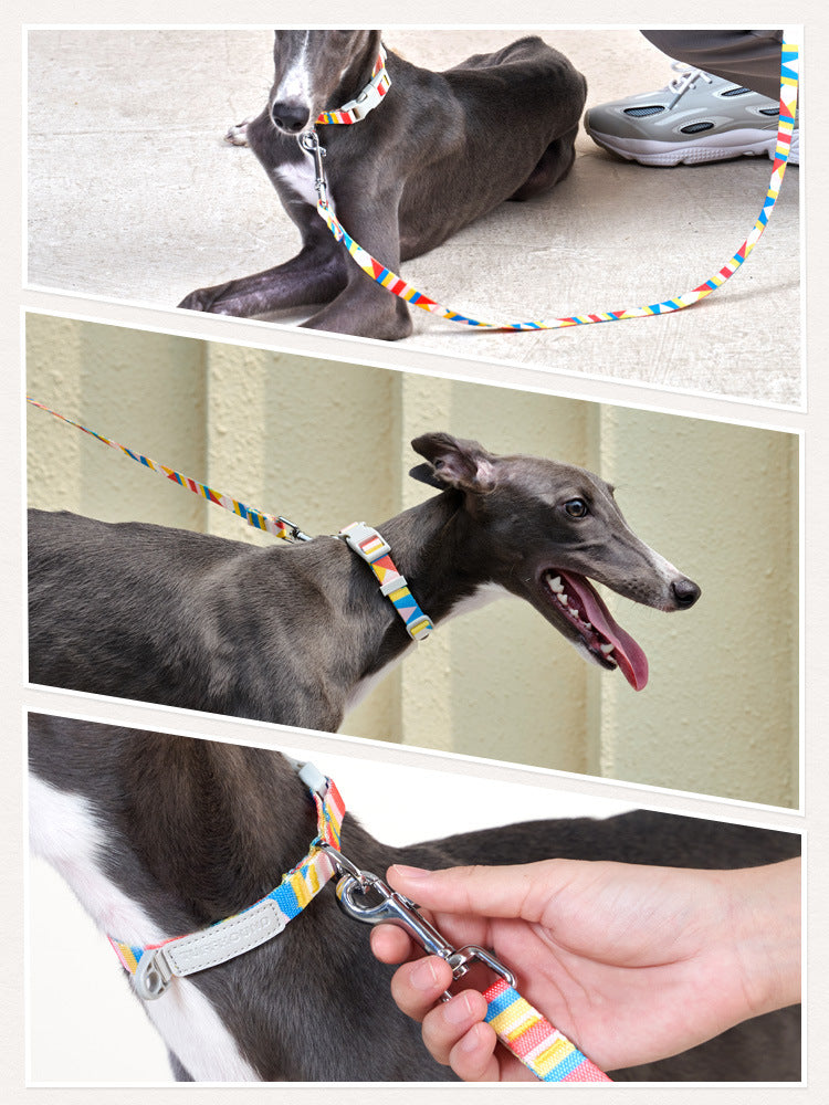 KFX-0999357 Nylon Traction Belt for Small, Medium, and Large Dogs - Adjustable Neck Size, 120cm Length, Blue or Yellow