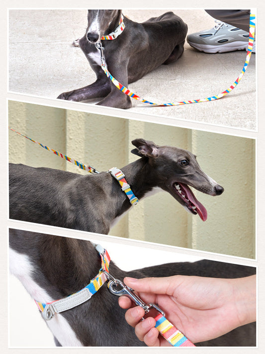 KFX-0999357 Nylon Traction Belt for Small, Medium, and Large Dogs - Adjustable Neck Size, 120cm Length, Blue or Yellow