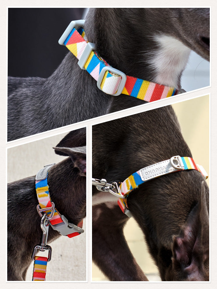 KFX-0999357 Nylon Traction Belt for Small, Medium, and Large Dogs - Adjustable Neck Size, 120cm Length, Blue or Yellow