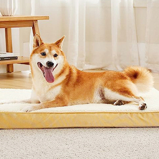 KFX-1003581 Removable and Washable Dog Cage Mat – Soft Sponge Kennel Pet Pad in Various Colors and Sizes