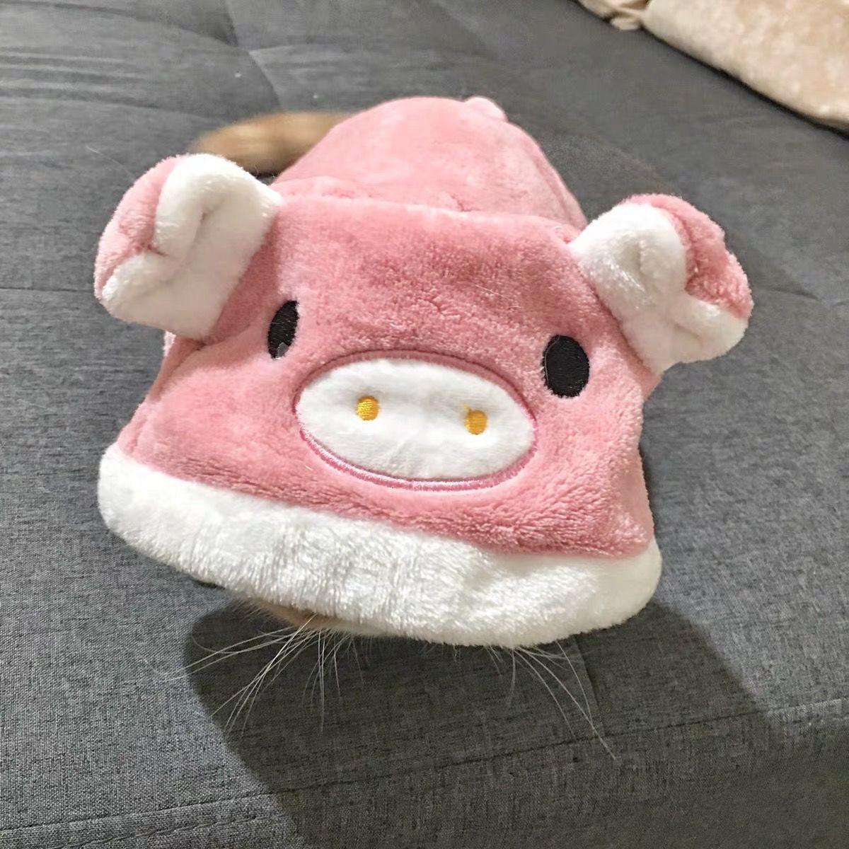 KFX-1009469 Cozy Cartoon Coral Fleece Pet Clothing for Cats and Dogs - Blue Cat British Shorthair Perfect for Autumn and Winter