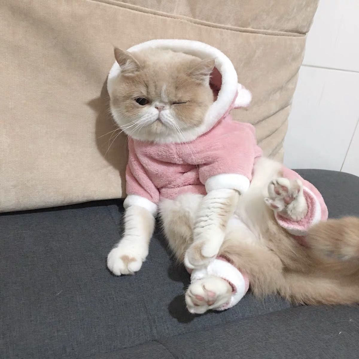 KFX-1009469 Cozy Cartoon Coral Fleece Pet Clothing for Cats and Dogs - Blue Cat British Shorthair Perfect for Autumn and Winter