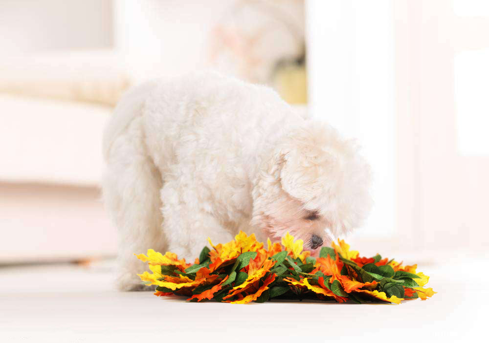 KFX-1015869 Pet Jungle Feeding Mat - Washable Sniffing Blanket for Engaging Pet Playtime - 55x50CM