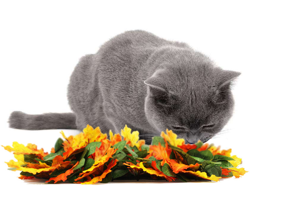 KFX-1015869 Pet Jungle Feeding Mat - Washable Sniffing Blanket for Engaging Pet Playtime - 55x50CM