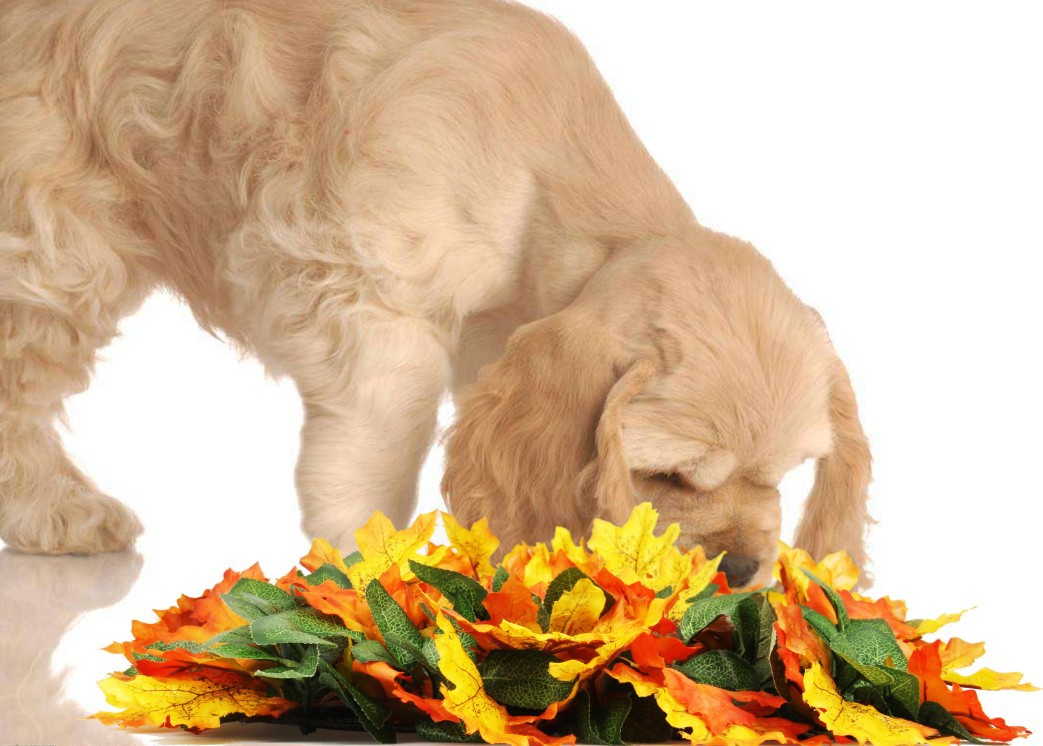 KFX-1015869 Pet Jungle Feeding Mat - Washable Sniffing Blanket for Engaging Pet Playtime - 55x50CM