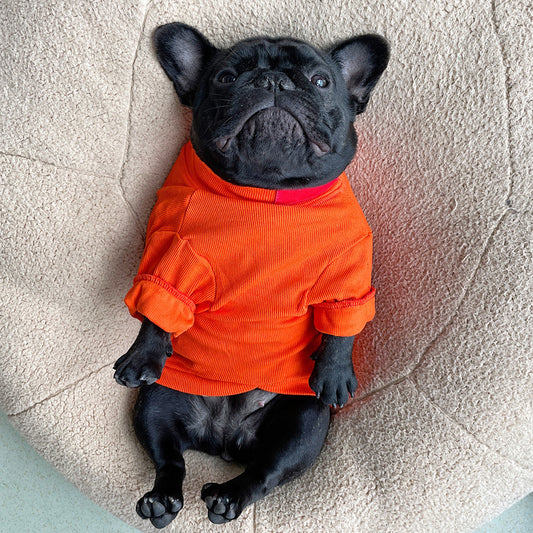 KFX-1024957 Casual Cotton Pet Shirt for Small and Medium Dogs in Black, White, Orange, Light Blue - Autumn/Winter Wear