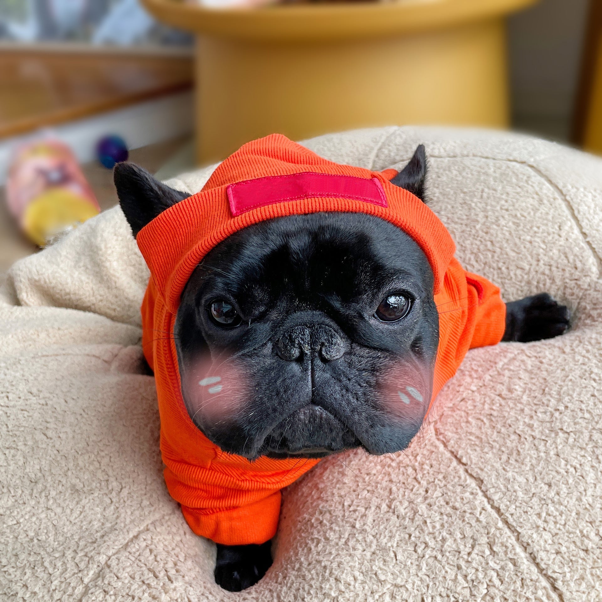 KFX-1024957 Casual Cotton Pet Shirt for Small and Medium Dogs in Black, White, Orange, Light Blue - Autumn/Winter Wear