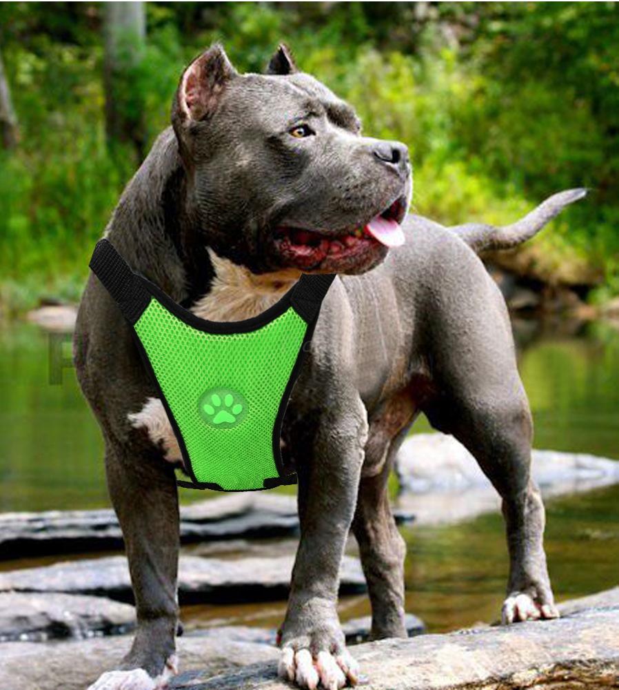 KFX-1025853 Breathable Mesh Dog Harness with Adjustable Chest Strap and Durable D-Ring