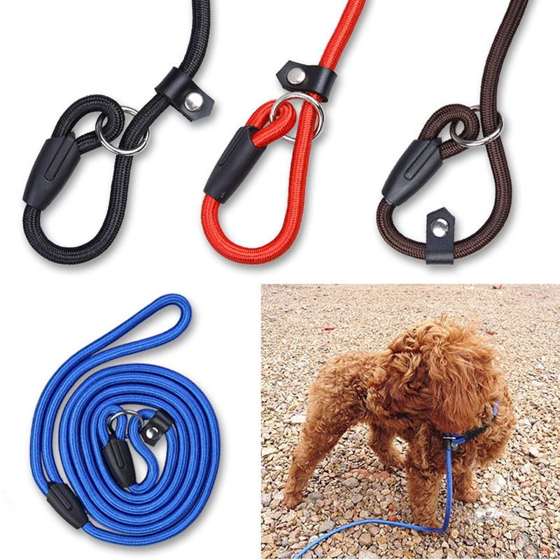 KFX-1026365 Comfortable Adjustable Nylon Traction Training Leash for Dogs