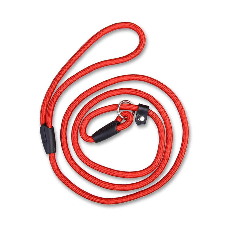 KFX-1026365 Comfortable Adjustable Nylon Traction Training Leash for Dogs