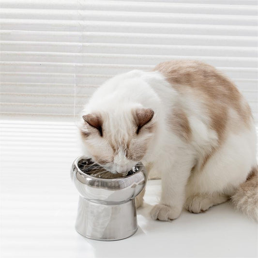 KFX-1026749 Tip-Proof Electroplated Ceramic Cat Bowl for Stable Feeding