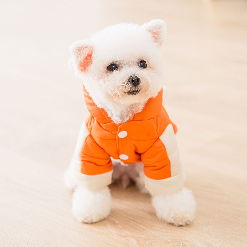 KFX-1027133 Two-Legged Thick Cotton Padded Jacket in Orange Bear Design for Small Pets