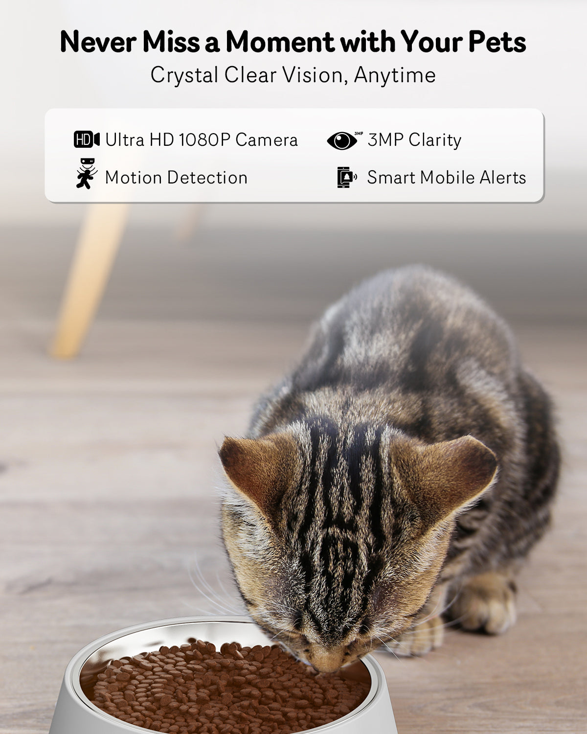 KFX-1039549 Automatic Cat Feeder with HD Camera, Night Vision, 5G WiFi, 2-Way Audio & Smart Alerts - 4L Capacity