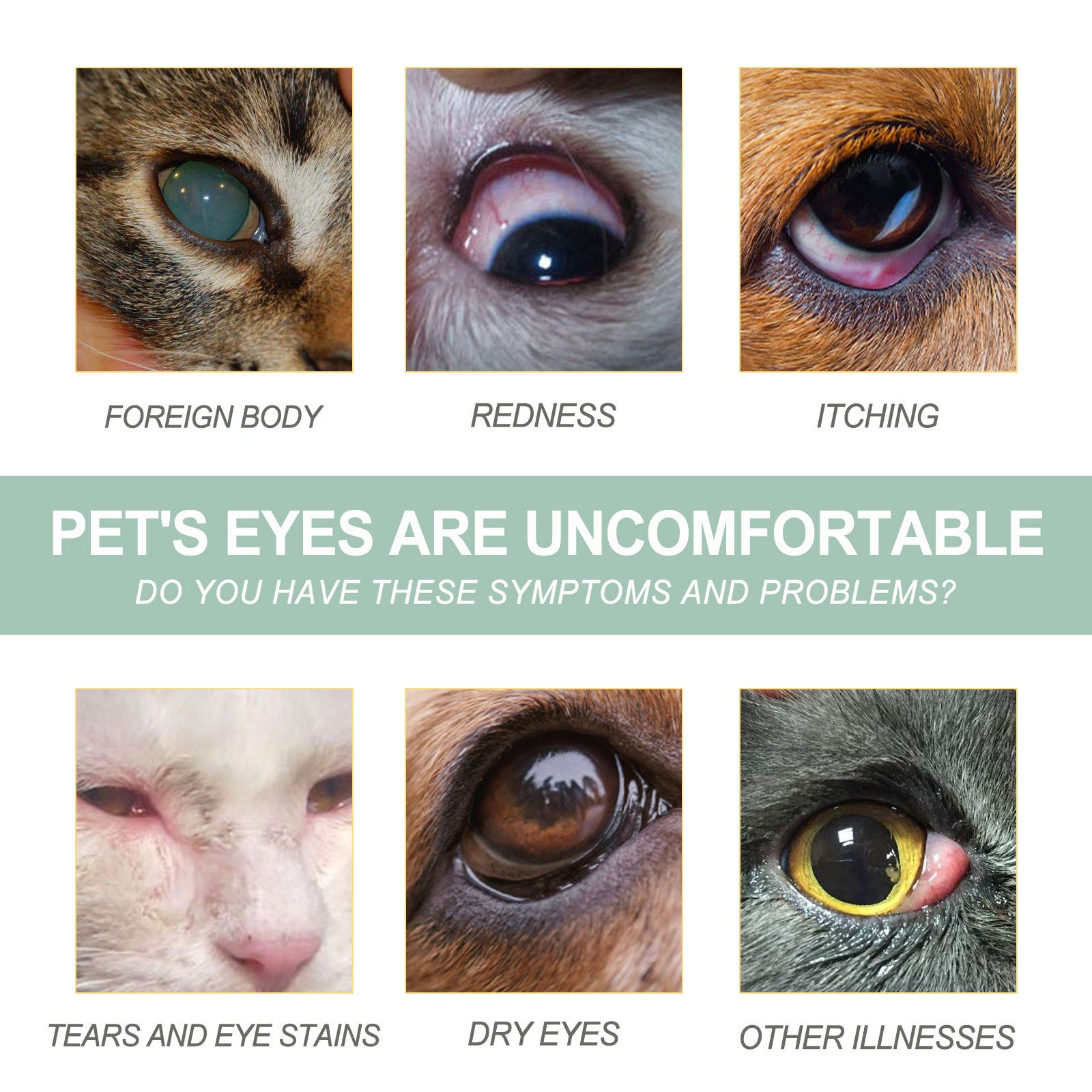 KFX-1043901 Pet Eye Care Drops for Dogs and Cats - 100ml