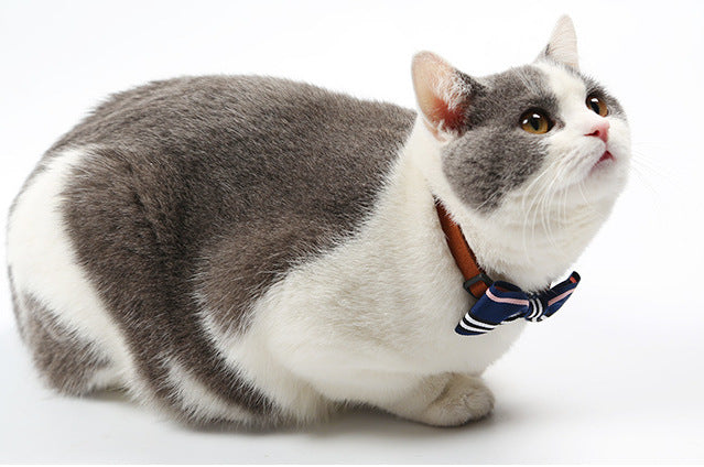 KFX-1045821 Stylish Adjustable Pet Tie for Casual or Formal Occasions
