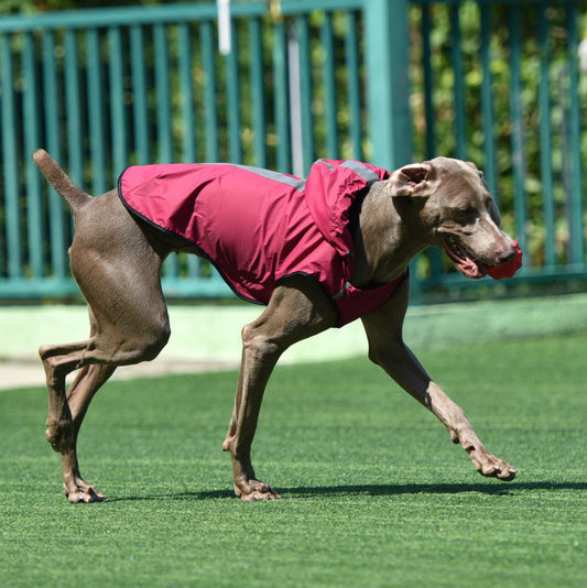 KFX-1046205 Hooded Waterproof Dog Raincoat - Durable Polyester, Available in Multiple Colors and Sizes