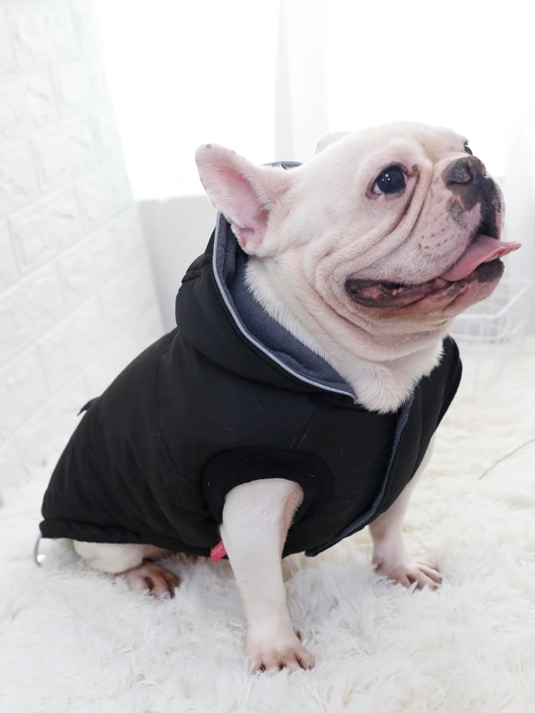 KFX-1048253 Thickened Padded Jacket for Dogs - Casual Black Pet Vest