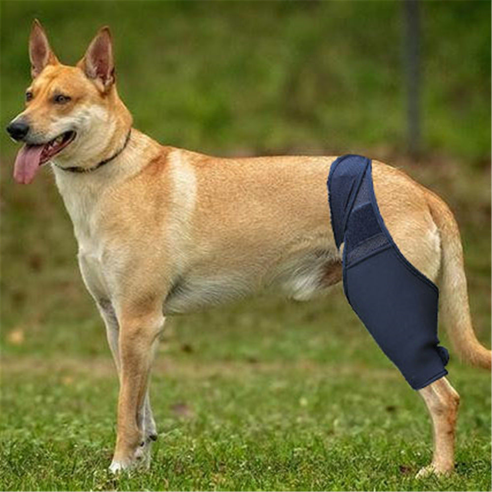 KFX-1050429 Dog Thigh Protector for Front and Rear Leg Fractures, Neoprene Fabric Mesh, Casual Design, Size S-XL, Black
