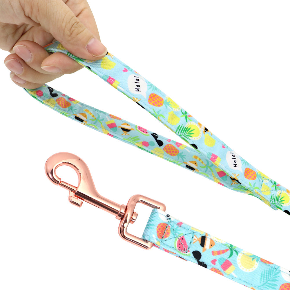 KFX-1058621 Small Dog Leash and Collar Set for Comfort and Control - Includes Towing Rope and Strap