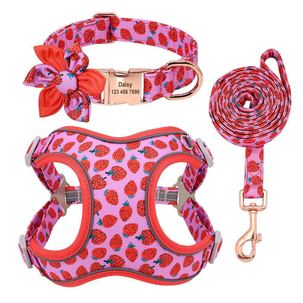 KFX-1058621 Small Dog Leash and Collar Set for Comfort and Control - Includes Towing Rope and Strap
