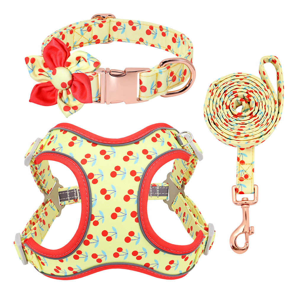 KFX-1058621 Small Dog Leash and Collar Set for Comfort and Control - Includes Towing Rope and Strap