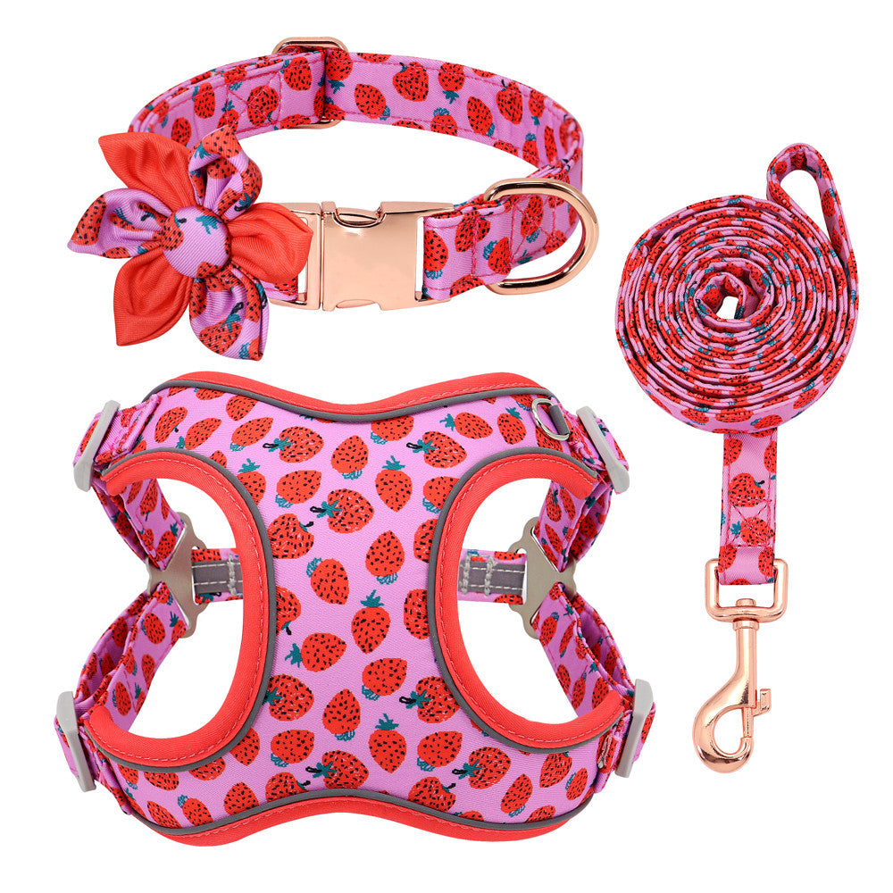 KFX-1058621 Small Dog Leash and Collar Set for Comfort and Control - Includes Towing Rope and Strap