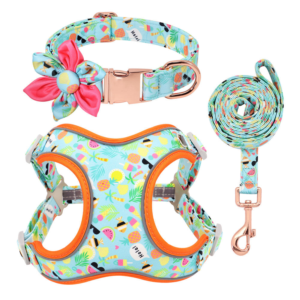 KFX-1058621 Small Dog Leash and Collar Set for Comfort and Control - Includes Towing Rope and Strap