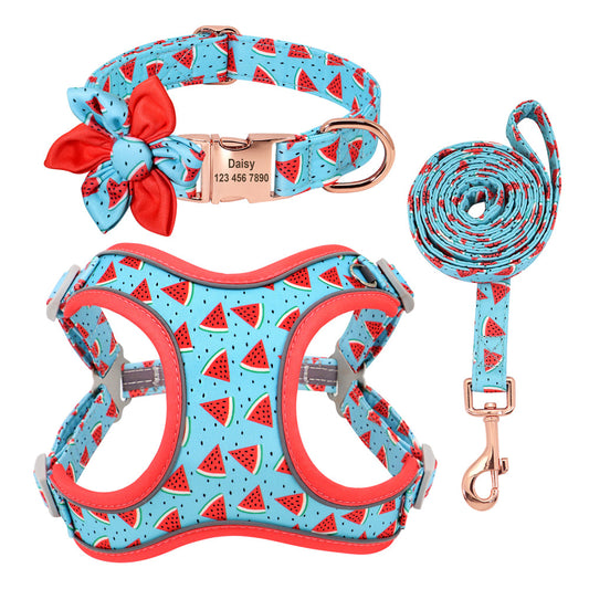 KFX-1058621 Small Dog Leash and Collar Set for Comfort and Control - Includes Towing Rope and Strap