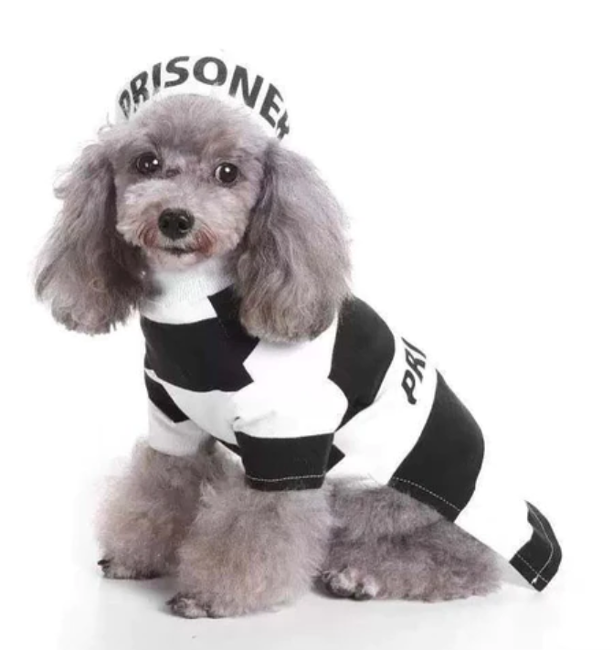 KFX-1063101 Festive Knitted Pet Sweater with Hat - Casual Style for All Sizes