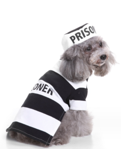 KFX-1063101 Festive Knitted Pet Sweater with Hat - Casual Style for All Sizes